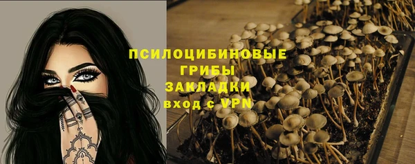 бошки Абаза