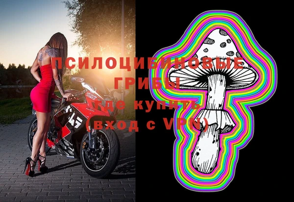 бошки Абаза